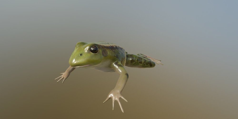 カエル 魚種 Russian Fishing 4