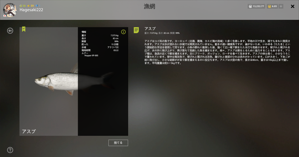 rf4_4.0.15158_20201113_232955.png