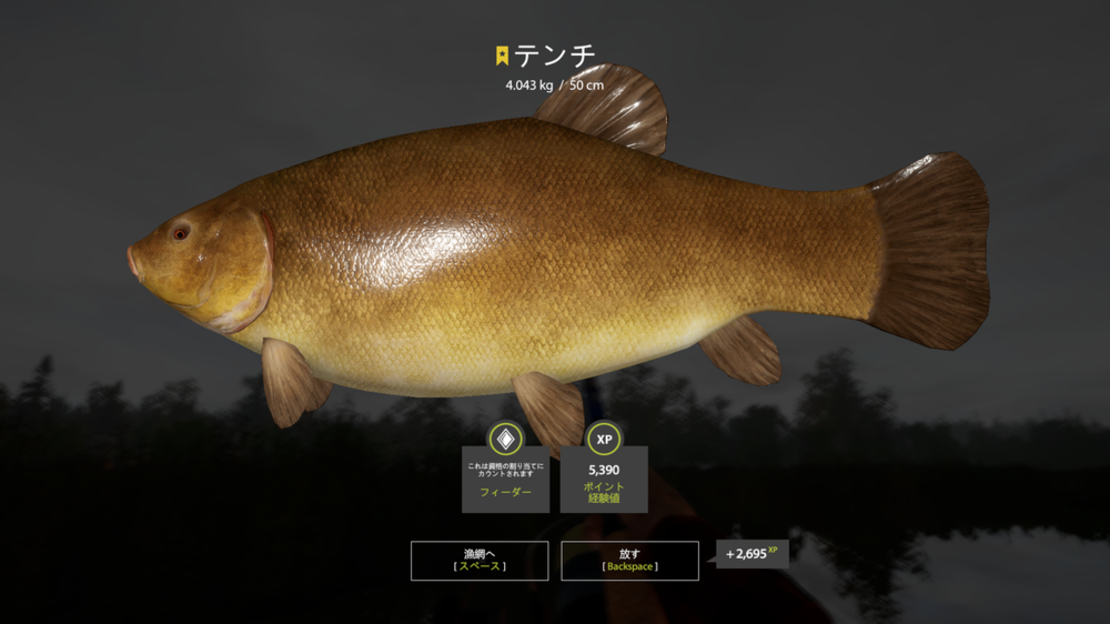 rf4_4.0.15541_20201223_041056.thumb.png.43bb8865c0f651decb2da1274b33e8dc.png